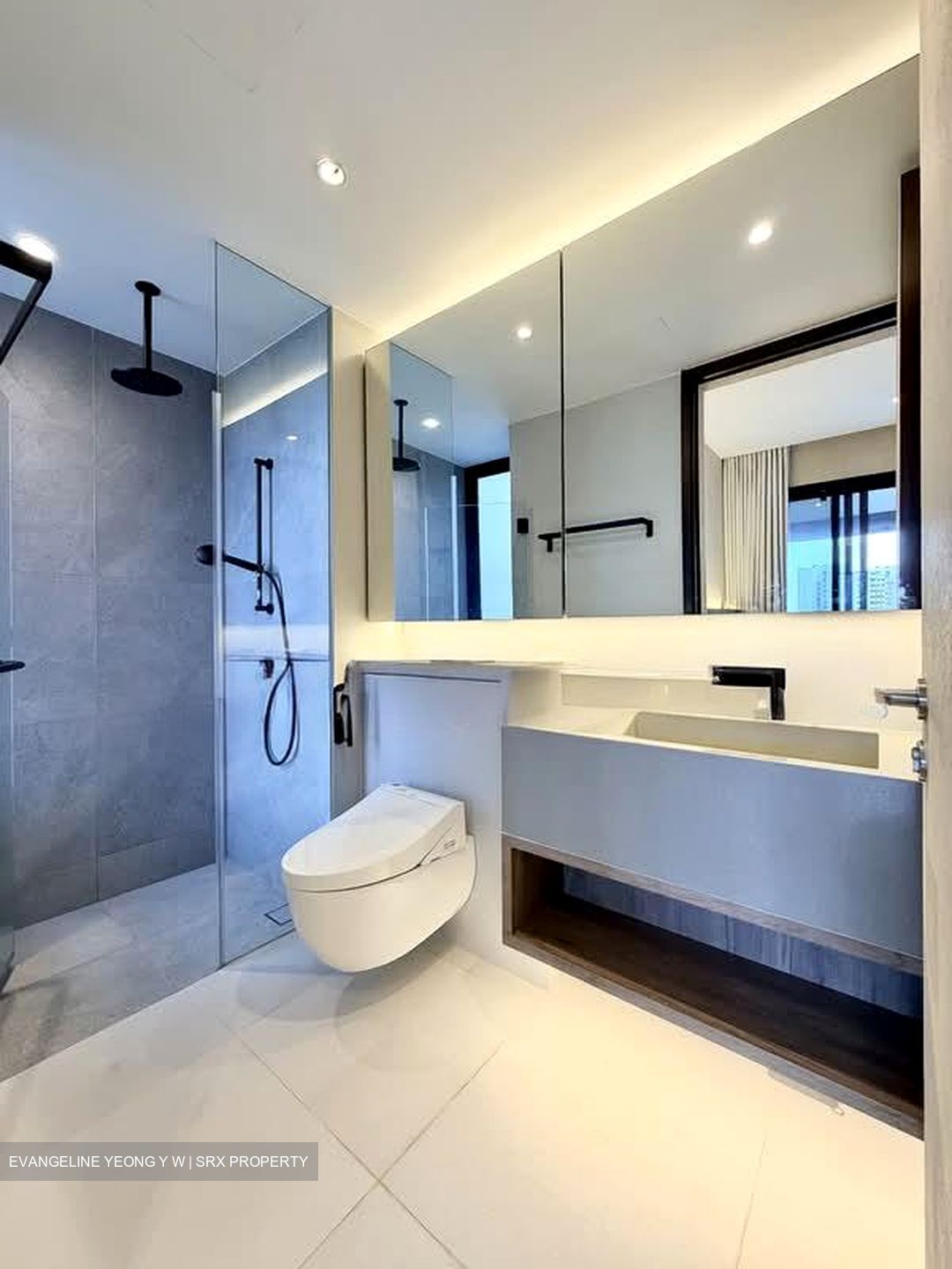 Spottiswoode Residences (D2), Condominium #541937121